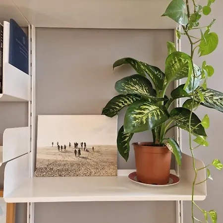 Modern Bright And Central *